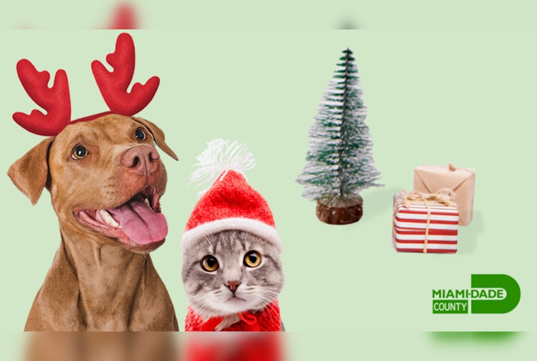 Miami Animal Services, Fee-Waived Pet Adoptions for December's "Home for the Holidays" Campaign