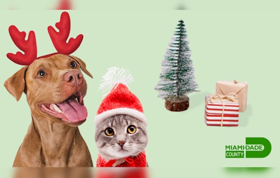 Miami Animal Services, Fee-Waived Pet Adoptions for December's "Home for the Holidays" Campaign