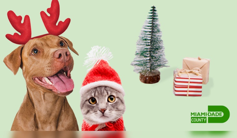 Miami Animal Services, Fee-Waived Pet Adoptions for December's "Home for the Holidays" Campaign