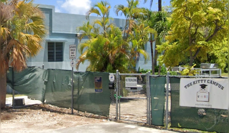 Miami Beach Community Horrified by Series of Feline Deaths, Police Probe Suspected Animal Cruelty