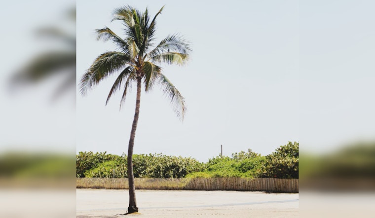 Miami Braces for Warmer Christmas Season with Humidity, Rip Current Risk, and Sporadic Showers