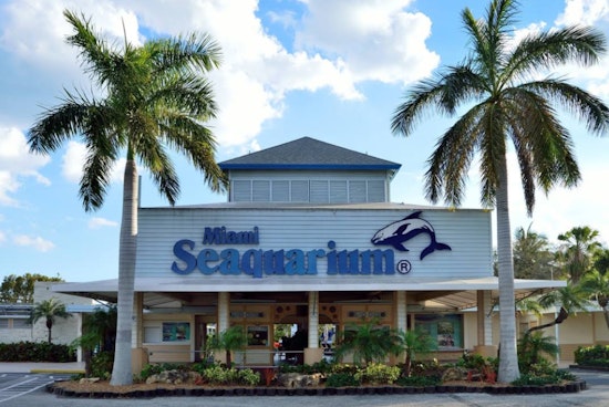 Miami-Dade County to Issue Fresh Notice of Default, Miami Seaquarium Over Staffing Issues