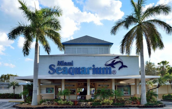 Miami-Dade County to Issue Fresh Notice of Default, Miami Seaquarium Over Staffing Issues