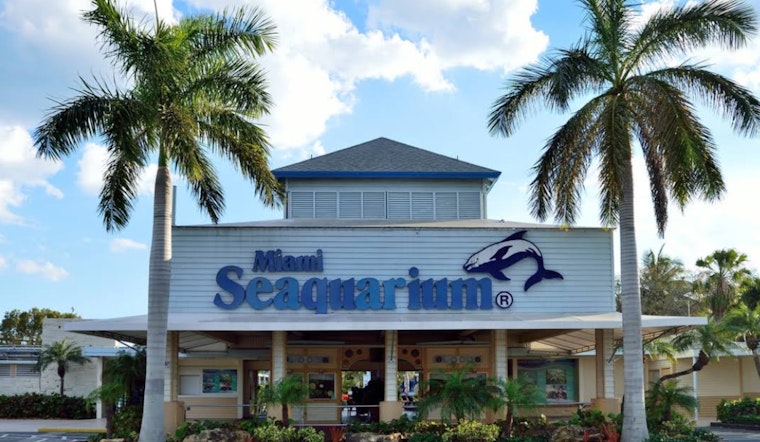 Miami-Dade County to Issue Fresh Notice of Default, Miami Seaquarium Over Staffing Issues