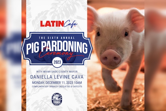 Unique Holiday Ceremony, Miami-Dade Mayor Daniella Levine Cava to Pardon Pigs Named After Celebs