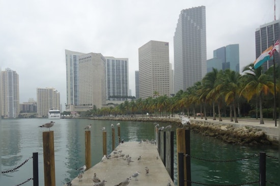 Miami Embraces Festive Cheer, Mild Christmas Forecast Amidst Cloudy Skies