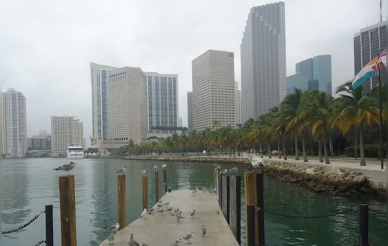 Miami Embraces Festive Cheer, Mild Christmas Forecast Amidst Cloudy Skies