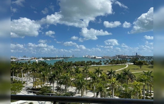 Miami Rings in New Year with Unusual Chill, Warmer Weather on Horizon
