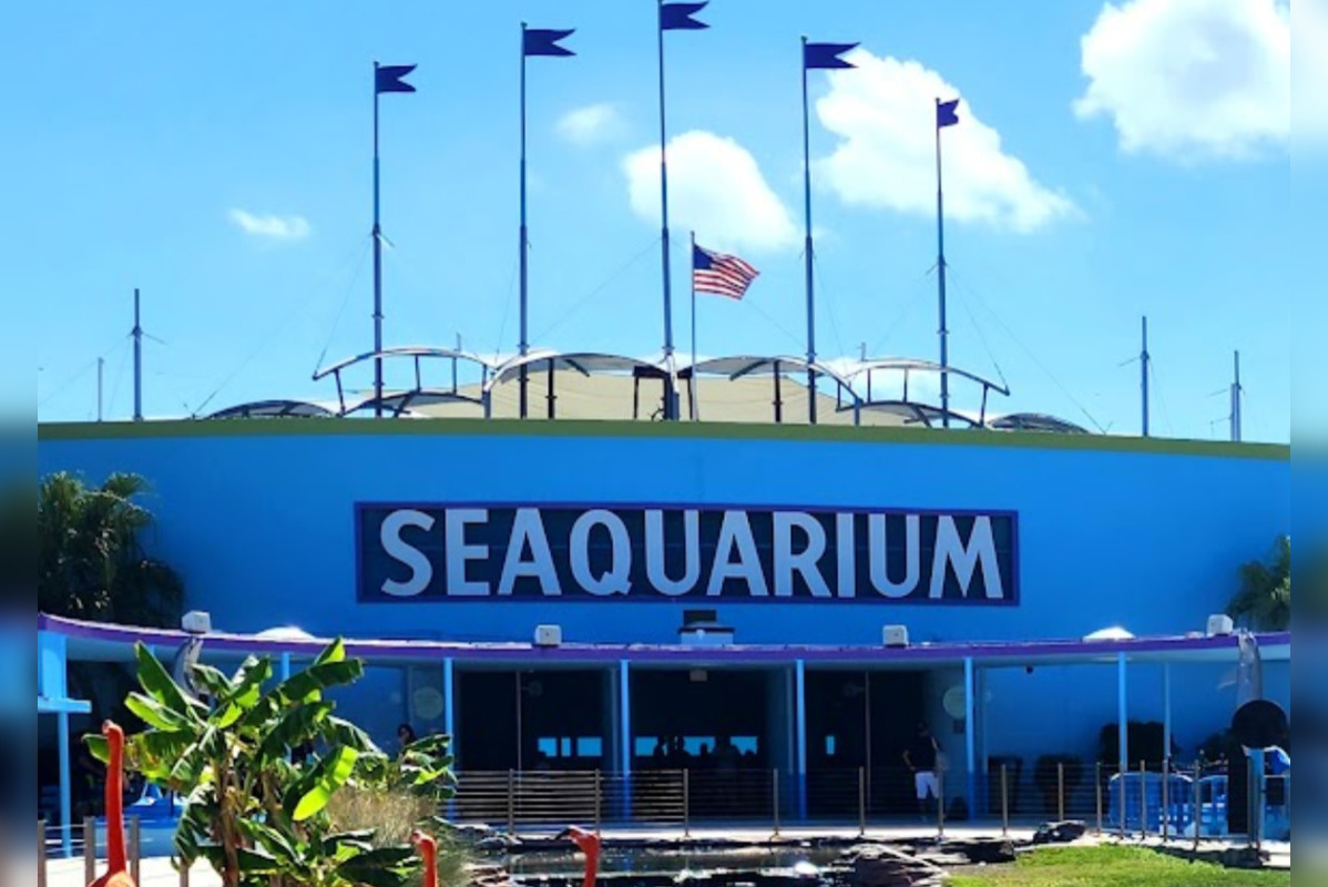 Miami Seaquarium Faces Second Notice Of Default, Amid Rent Arrears And