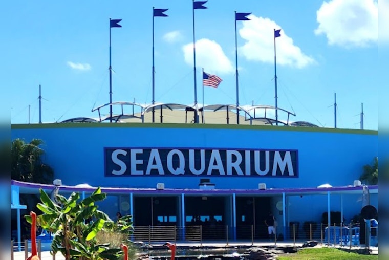 Miami Seaquarium Faces Second Notice of Default, Amid Rent Arrears and Animal Welfare Concerns