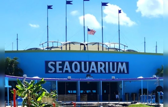Miami Seaquarium Faces Second Notice of Default, Amid Rent Arrears and Animal Welfare Concerns