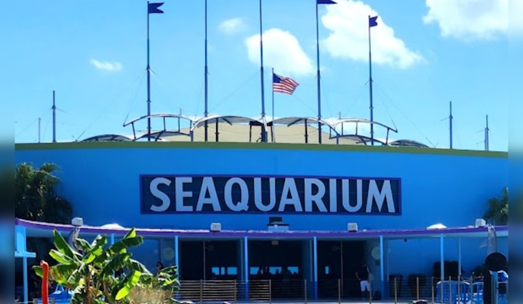 Miami Seaquarium Faces Second Notice of Default, Amid Rent Arrears and Animal Welfare Concerns