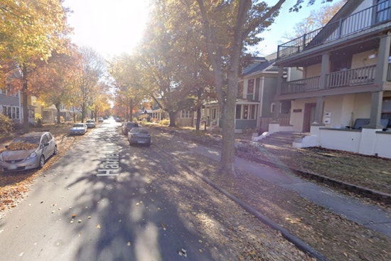 Minneapolis Home Christmas Fire Claims Dog's Life, Two Rescued and Revived by Firefighters