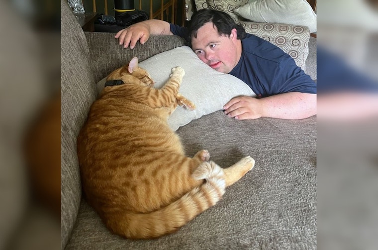 Minnesota Family Offers $1,000 Reward for Information on Cat Shot in Cottage Grove