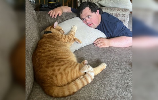 Minnesota Family Offers $1,000 Reward for Information on Cat Shot in Cottage Grove