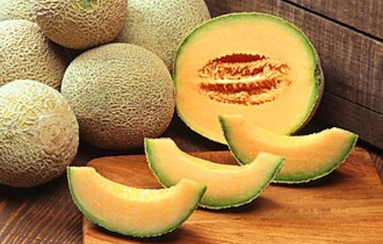 Minnesota Hard-Hit by Multi-State Salmonella Outbreak Linked to Cantaloupe; Deaths and Widespread Infections Prompt Urgent CDC Warnings