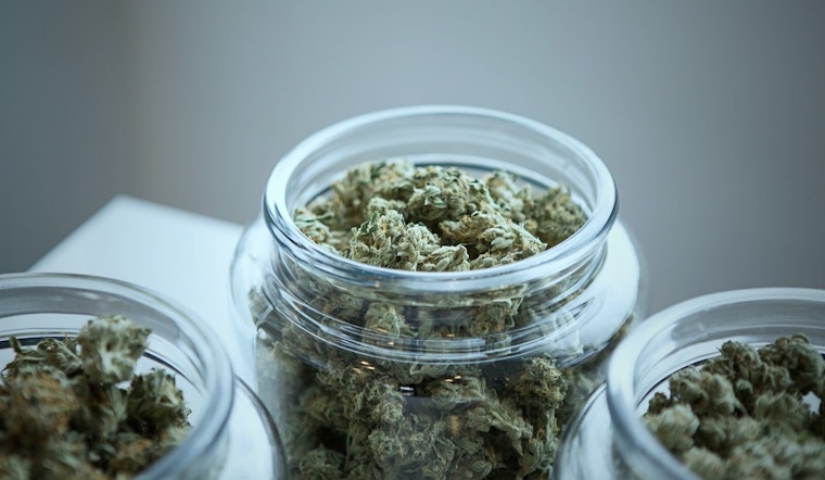 Minnesota's Cannabis Director Vacancy Stirs Uncertainty Among Lawmakers and Industry Insiders
