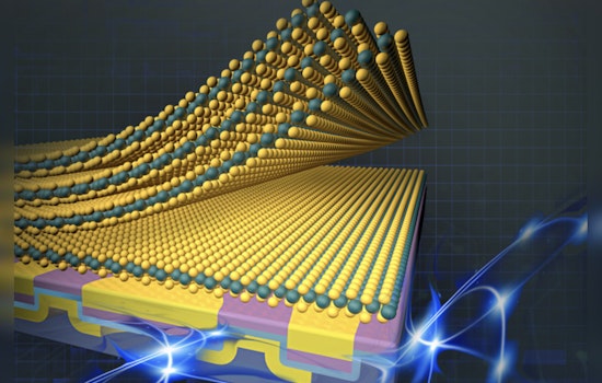 MIT Whizzes Crack Electronic Evolution, Delicate 2D Materials Melded into Devices Without Damage!