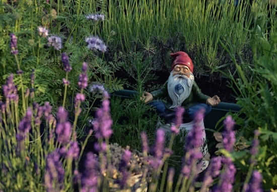Mysterious Gnomes Ignite Winter Delight in Saint Paul's City-Wide Scavenger Hunt