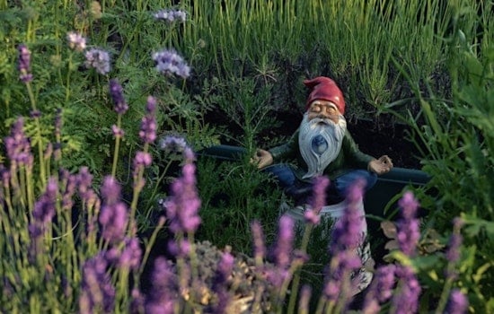 Mysterious Gnomes Ignite Winter Delight in Saint Paul's City-Wide Scavenger Hunt