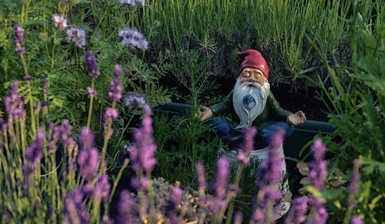 Mysterious Gnomes Ignite Winter Delight in Saint Paul's City-Wide Scavenger Hunt