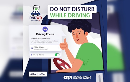 Napa Police Launch Blitz on Phone-Addled Drivers