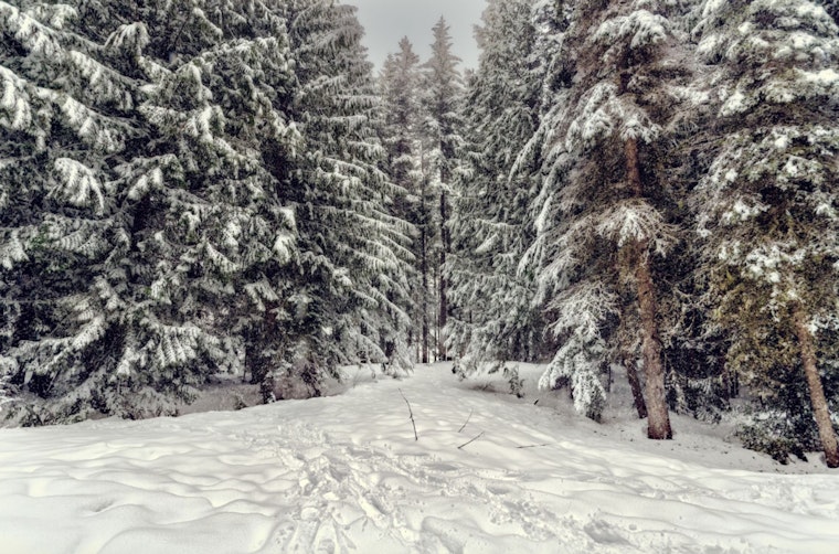 New England Hit by Snowy Siege, Leaving 40K Without Power as Wintry Conditions Cover the Region with a Foot-Deep Blanket