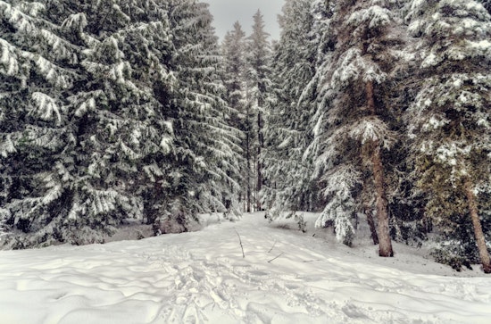 New England Hit by Snowy Siege, Leaving 40K Without Power as Wintry Conditions Cover the Region with a Foot-Deep Blanket