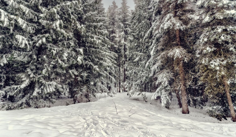 New England Hit by Snowy Siege, Leaving 40K Without Power as Wintry Conditions Cover the Region with a Foot-Deep Blanket