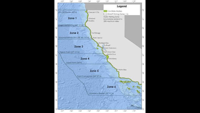 New Year Brings Northern California Commercial Dungeness Crab Fishing, Central Coast Zones on Hold for Whale Safety