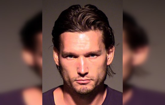 Newbury Park Man Sentenced to Jail for Fatal Abuse of Puppy and Burglary at Camarillo Shelter