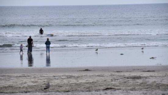 Oceanside's RE:BEACH Initiative Showcases Global Talent in Quest for Coastal Resilience