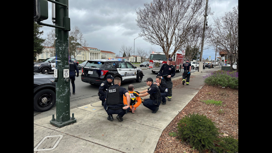 Police Arrest Suspected Assailant at Napa Bakery, Officers Injured During Tense Standoff