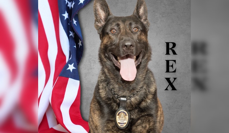 Police K-9 Rex Injured but Heroes Prevail in Christmas Day Burglary at Pasadena