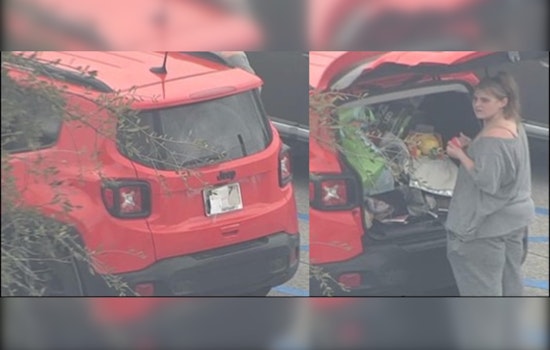 Police Seek Public’s Aid to Track Down Suspected Target Thief