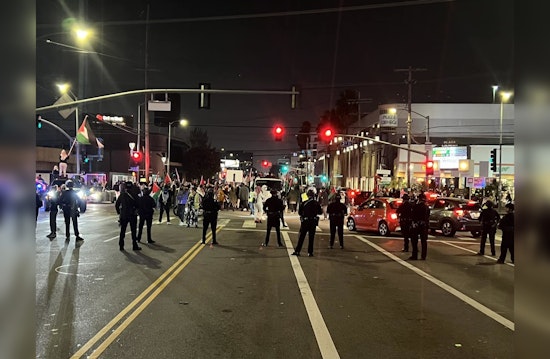 Protesters Swarm Beverly Hills Demanding Middle East Cease-Fire