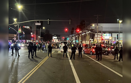 Protesters Swarm Beverly Hills Demanding Middle East Cease-Fire