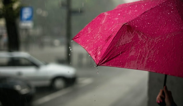 Rainy Holiday Forecast for Boston with Mild Temperatures and Patchy Fog, Sunnier Days Ahead
