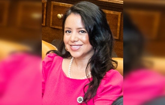 Rep. Victoria Neave Criado Challenges Incumbent Sen. Nathan Johnson in High-Stakes Democratic Primary