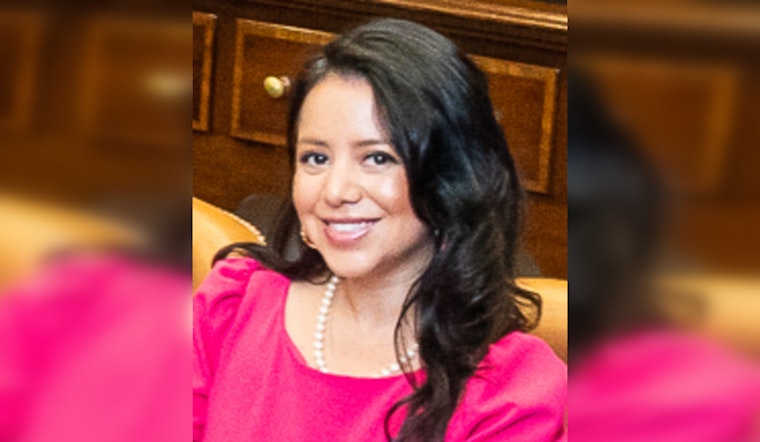 Rep. Victoria Neave Criado Challenges Incumbent Sen. Nathan Johnson in High-Stakes Democratic Primary