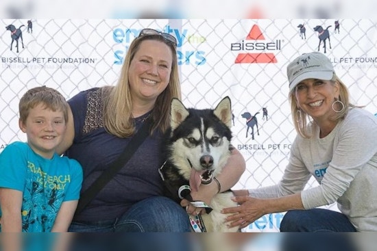 Riverside County Teams Up With BISSELL for Free 'Home for the Holidays' Pet Adoption Event