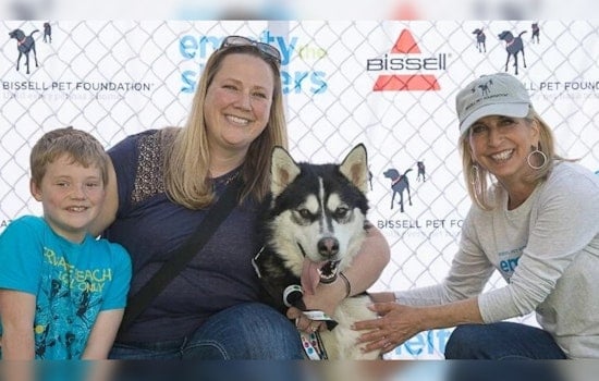 Riverside County Teams Up With BISSELL for Free 'Home for the Holidays' Pet Adoption Event
