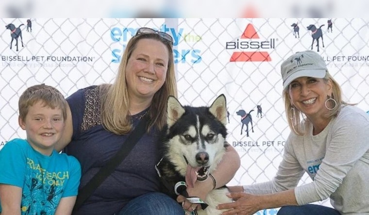 Riverside County Teams Up With BISSELL for Free 'Home for the Holidays' Pet Adoption Event
