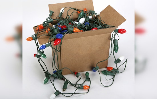 Saint Paul Residents Can Recycle Holiday Trees and Lights at Ramsey County Collection Sites