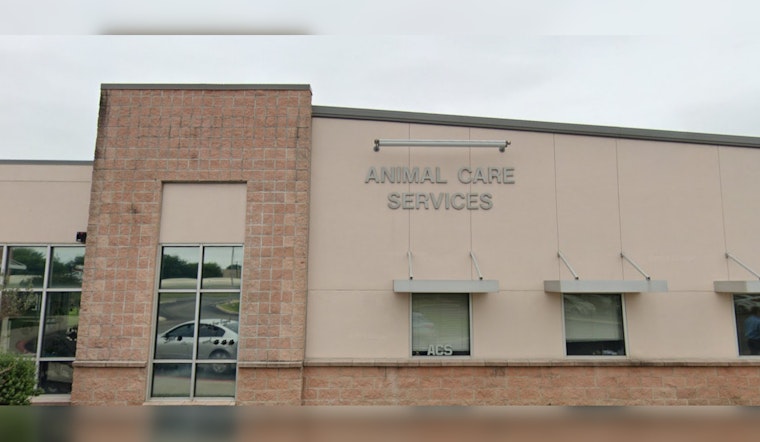 San Antonio and Guelph Embrace Festive Spirit with Santa Paws Events for Shelter Animals