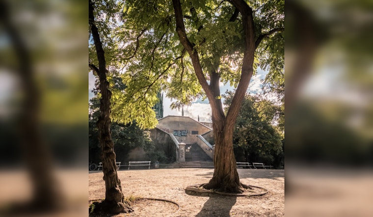San Antonio Braces for Mist and Showers, Sunny Weekend in Forecast