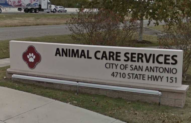 San Antonio Senior's New Lease on Life After Dog Mauling, Owner Faces Felony Charges