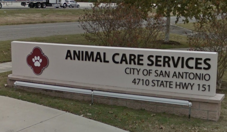 San Antonio Senior's New Lease on Life After Dog Mauling, Owner Faces Felony Charges