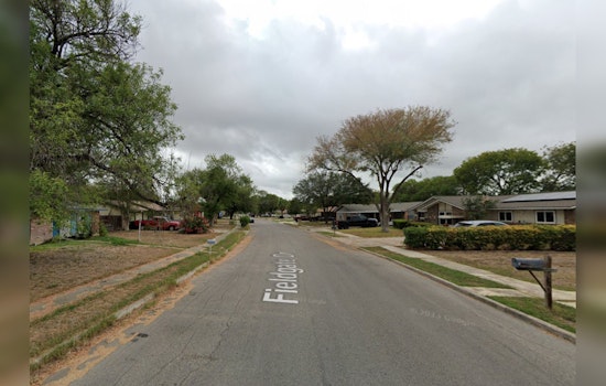 San Antonio Woman Indicted After Dogs' Rampage Costs Elderly Man His Legs