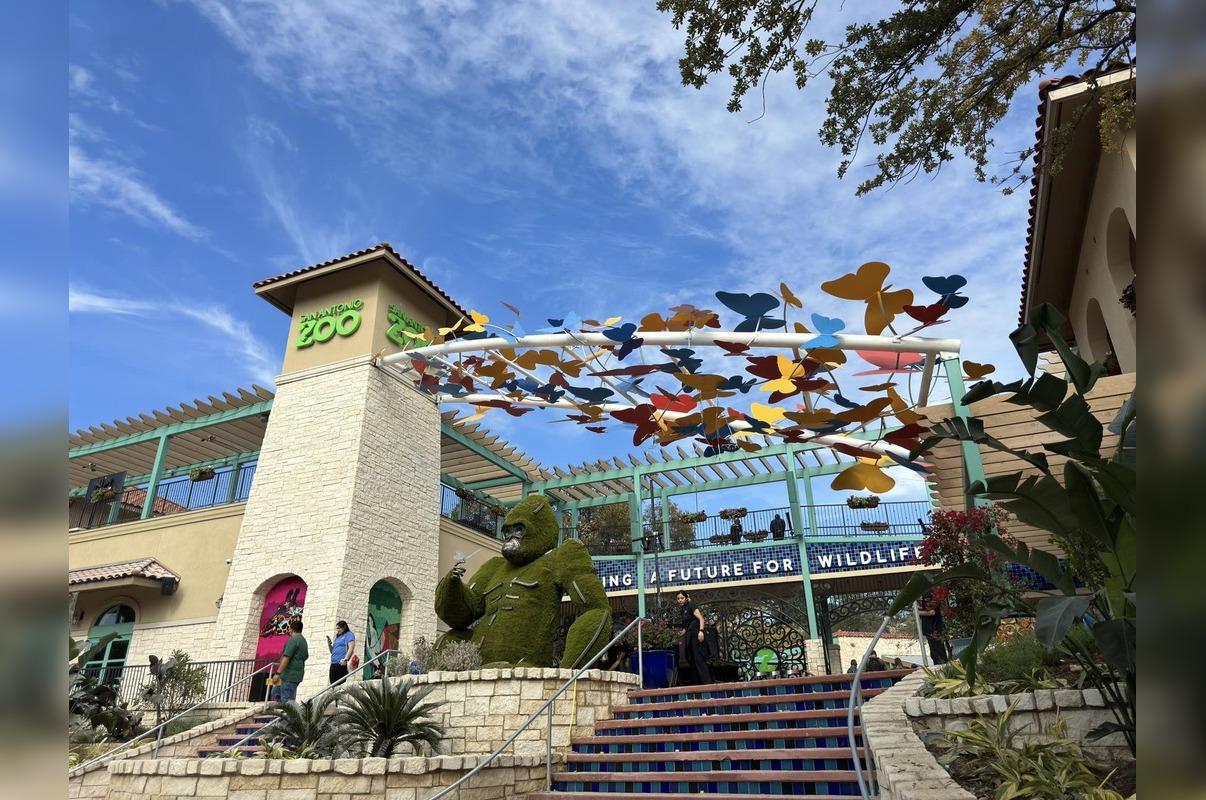San Antonio Zoo Receives 5 Million Boost from Mays Family Foundation